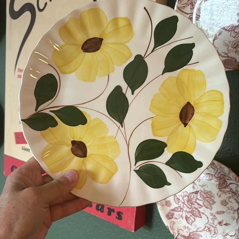 Blue Ridge Southern Pottery Ridge Daisy  Plate  Yellow Brown Flowers set of 2